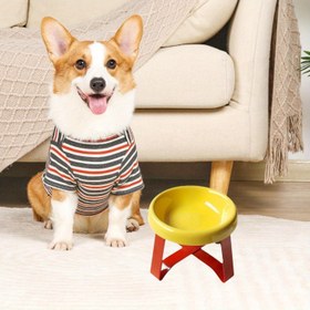 Resim Kaymaz Boyun Koruma Özellikli Yükseltilmiş Kedi Kabı ve Stand - Küçük Köpekler & Kediler için Dayanıklı Plastik Evcil Hayvan Besleme Kabı, Sarı, Canlı Tasarım, Kararlı Beslenme Kurulumu 