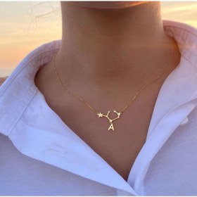 Resim Nida Jewelry 925 Ayar Gümüş Burç Takım Yıldızı Harf Kolye 