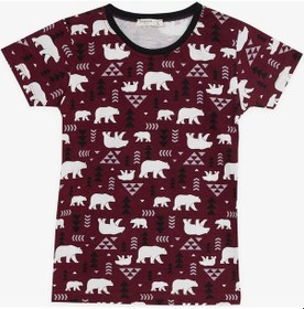Resim Breeze Girls & Boys Erkek Çocuk Şortlu Pijama Takımı Sevimli Kutup Ayıcığı Desenli 4-8 Yaş, Vişne Çürüğü-vişne Çürüğü Vişne Çürüğü 