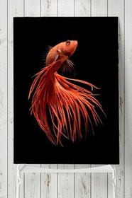 Resim Postermanya (pster8048) Sanatsal Balık Hayvan Posteri 3 (90x130cm) 