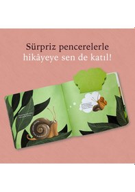 Resim Azıcık Aklım Karıştı 4 Kitap Kutulu Set - Mehmet Teber- Sincap Kitap 
