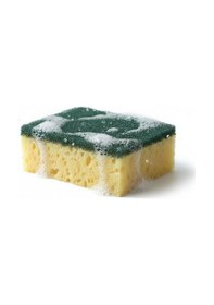 Resim Technow Softtex Çift Taraflı Çizmez Ekonomik Mercan Bulaşık Sünger 4 Adet 