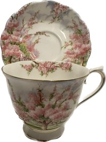 Resim İngiliz Royal Albert Blossom Time porselen çay fincanı 