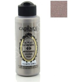 Resim 113 Antik Gümüş-Yaldız Boya 120Ml Cc 