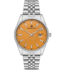 Resim Momentus Cm131s-13ss Erkek Kol Saati Metalik 