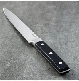 Resim Berghoff Dina Gene Oyma Bıçağı 20cm Diğer 