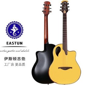 Resim Eastun Soloıst Oveşın Kasa Üst Segment Akustik Gitar-Kılıflı 