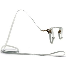 Resim Beeztees Dbl Kedi Göğüs Tasması Ve Gezdirme Kayışı, 130cm, Mint, 27-45cm 