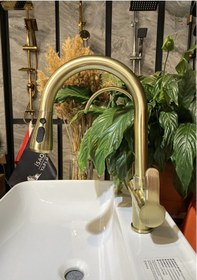 Resim İsaoğlu Yapı Arıtmalı Mutfak Bataryası Mat Gold Evye Musluğu Spiralli Arıtmalı Mat Altın Batarya Uzayan Sistem Gold 