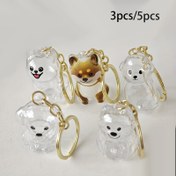 Resim 3/5 Parça Evcil Hayvan Anı Kutusu Seti - Döner Kolye & Tüy Kapsülü, Köpek Külü İçin Takılar, Beagle, Teddy, Westie için Anı Saklama Çözümü 