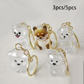 Resim 3/5 Parça Evcil Hayvan Anı Kutusu Seti - Döner Kolye & Tüy Kapsülü, Köpek Külü İçin Takılar, Beagle, Teddy, Westie için Anı Saklama Çözümü 
