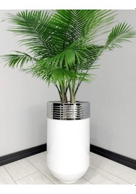 Resim Elegant Dekoratif Krom Darbuka Parlak Beyaz Saksı 70cm 