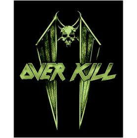 Resim Z zepplin Overkill Wings and Skull Büyük Sırt Patch Yama 