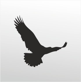 Resim TECHNOPA Folyo Sticker Kartal 100cm Uzunluk 