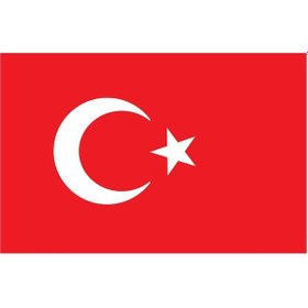 Resim Saray Türk Bayrağı 20X30 