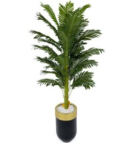 Resim Areka Palmiyesi 170cm Metal Siyah Gold Darbuka Saksıda H 