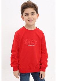 Resim Toontoy Kids Toontoy Erkek Çocuk Baskılı Sweatshirt Haki 