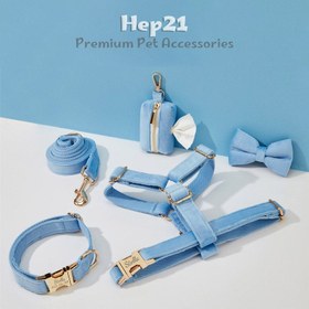 Resim Dog Collar Named Sky Blue Velvet Collar 595658 - 5pcs set / S 