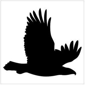 Resim Kartal Folyo Sticker Derstv748 60cm Uzunluk Siyah 