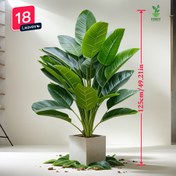 Resim 125 cm Ekstra Uzun Yapay Muz Ağacı - 18 Yapraklı Gerçekçi İç/Dış Mekan Dekoru, Ev, Ofis, Parti Süslemesi için Dayanıklı Plastik Yapımlı, Bakım Gerektirmeyen Tropikal Bitki - Yeni Eve Taşınma, Düğün ve Restoran Dekorasyonu için İdeal, Canlı Görünümlü Bahçe ve İç Mekan Süsleme 