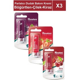 Resim Parlatıcı Dudak Bakım Kremi 4,5 Gr 3 Adet Böğürtlen, Çilek, Kiraz Silikon, Petrol İçermez 