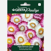 Resim Genta Prestige Kağıt Ölümsüz Çiçeği Tohumu 