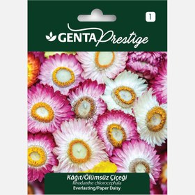 Resim Genta Prestige Kağıt Ölümsüz Çiçeği Tohumu 