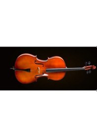 Resim Valencia Ce400g14 Cello Kılıflı yay reçine. 1/4 Scale. German Si 
