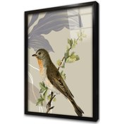 Resim Dalda Kuş Çerçeveli Cam Tablo-172014 