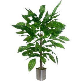 Resim 110 Cm Ceviz Ağaçı Dogal Gövdeli Metal Plastık Saksı Yeşil 