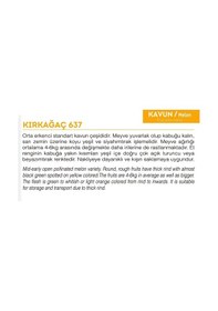 Resim AGRodal Tarım Ata Tohumu Yerli Doğal Kavun Kırkağaç 100 Adet Tohum 