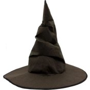 Resim Harry Potter Seçmen Şapkası Çocuk Boy 