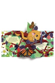 Resim Usborne Pop-up Nature 