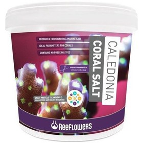 Resim Reeflowers Caledonia Coral Salt 22.5 KG 
