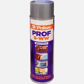 Resim Prof S-WW Su Yalıtım Spreyi 500 ml 
