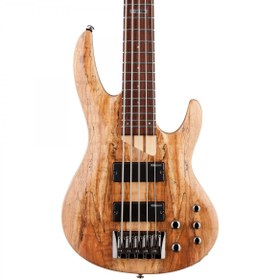 Resim ESP LTD LB205SMNS B-205 5 Telli Bas Gitar | Geniş Ton Aralığı Aktif Ekolayzer 