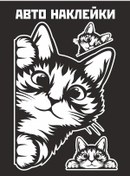 Resim Yutti Araba İçin Bulaşan Kedi Çıkartması 291192266 