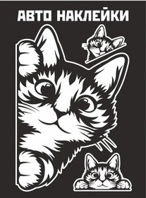 Resim Yutti Araba İçin Bulaşan Kedi Çıkartması 291192266 