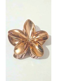 Resim Metalik Bakır Renk Lotus Mandal Saç Tokası 8 Cm Şık Ve Dayanıklı Kahverengi 