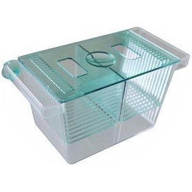 Resim Plastik Yavruluk Büyük 