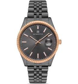 Resim Momentus Cm131t-05sr Erkek Kol Saati Füme 