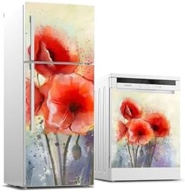 Resim Buzdolabı Ve Bulaşık Makinesi Takım Sticker 0114 