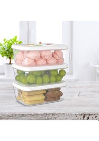 Resim Saklama Kabı 3 Lü Set 850 Ml N1134278 Çok Renkli 