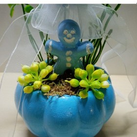 Resim Neolife Yeni Doğan Erkek Bebek Hediyesi Doğum Tebrik Hediyesi Sevimli Tavşancık Detaylı Kabak Teraryum 