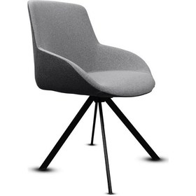 Resim Buo Ultra Lüks Sabit Ayaklı Koltuk Modern Tasarım & Yumuşak Kumaş Konforlu Oturum Gri 