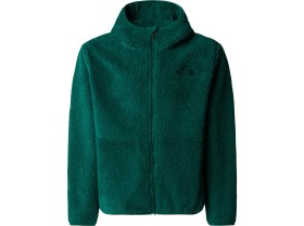 Resim The North Face Genç Çocuk Campshıre F/z Kapüşonlu Sweatshirt NF0A89KBNL11 