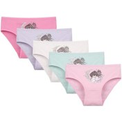 Resim 5'li Kız Çocuk Külot 4171pb27 Mint 