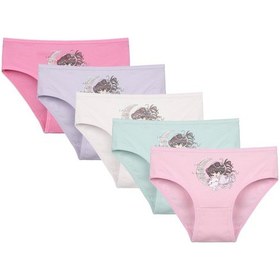 Resim 5'li Kız Çocuk Külot 4171pb27 Mint 