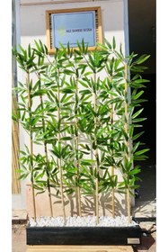 Resim Genel Markalar Bambu Paravan 