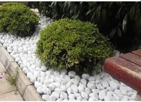 Resim Beyaz Dolomit Taş 1 Kg 2,5-4 Cm bahçe Süs Taşı Dekoratif Taş 